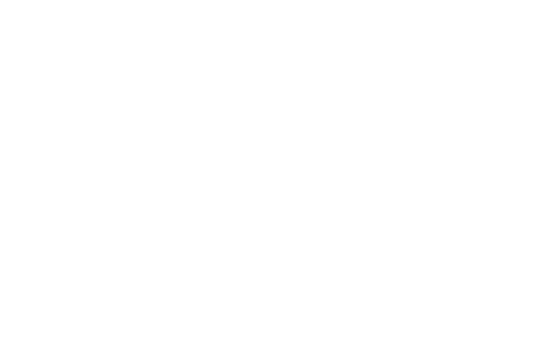 My Pets Recap